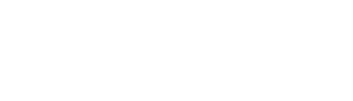 disguise